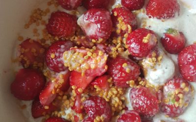 Rohköstl. Erdbeer-Quinoa-Brei
